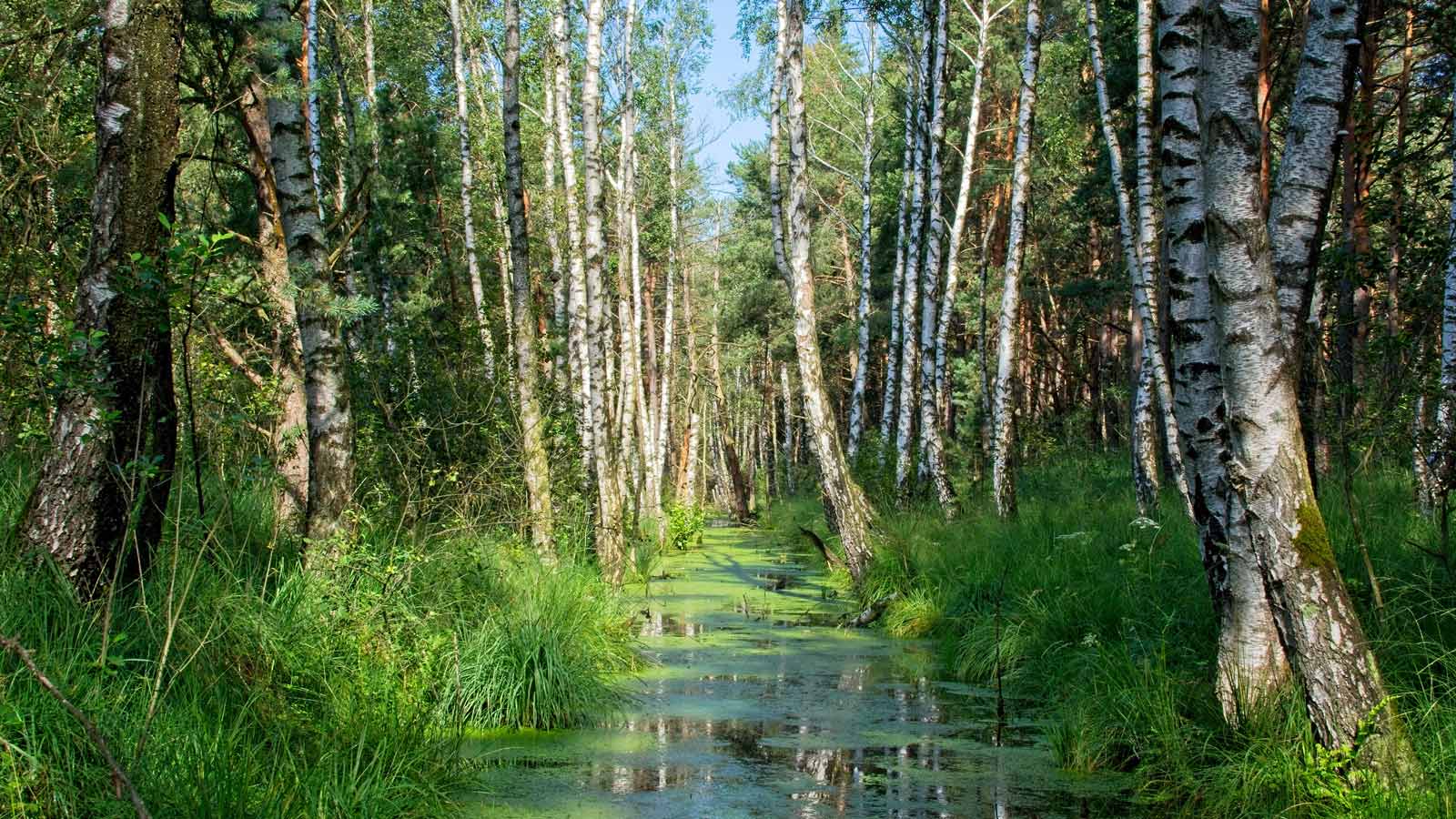camping-poitou-charente-marais-poitevin-poi-th
